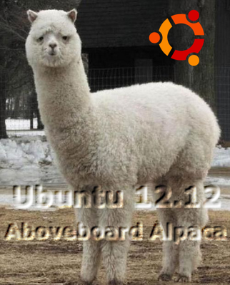 ubuntu 12.12.png
