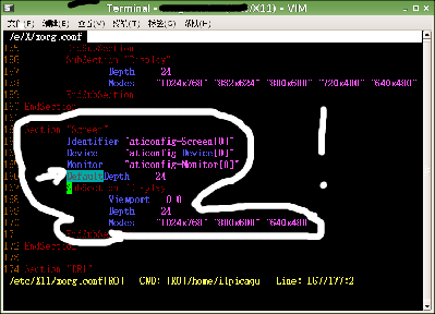Screenshot-Terminal - xorg.conf = (-etc-X11) - VIM.png