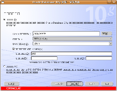 Screenshot-Oracle Database 10g 安装 - 安装方法.png