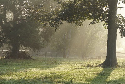 NATURE-PolandDorozkiMorning01_1600x1200.jpg