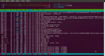 Screenshot-Terminal.png