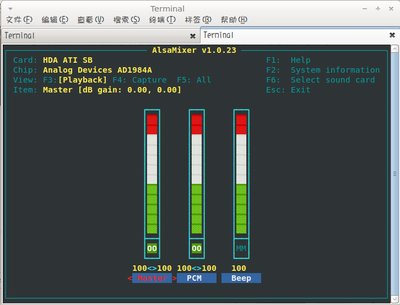 alsamixer.png