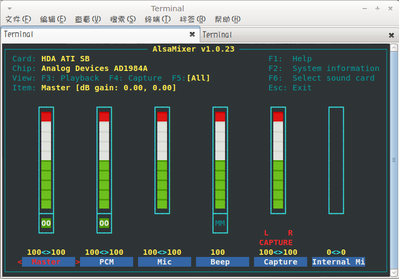 alsamixer.png