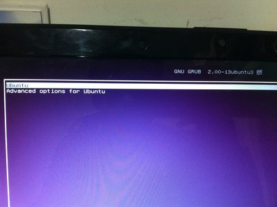 ubuntu13.04_64    【F2】