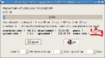 Screenshot-Shania.Twain-UP!.Close.and.Personal.DVDR - BitStorm Lite.png