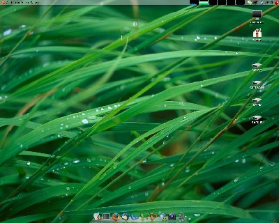 ubuntu7.10+imetal主题+compiz+kiba-dock