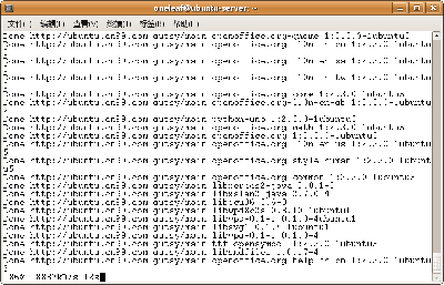 Screenshot-ubuntu-server.png