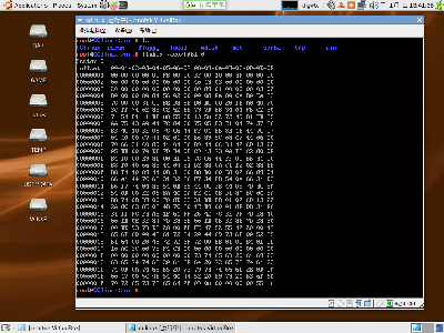 这张图片是安装GRUB到原来的NTFS分区后，第一扇区的内容