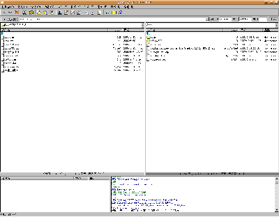 Screenshot-LeapFTP 2.7.6 - FTP.png