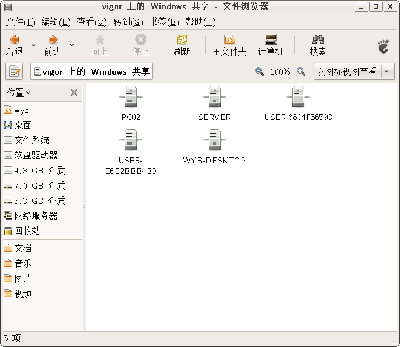 Screenshot-vigor 上的 Windows 共享 - 文件浏览器.png