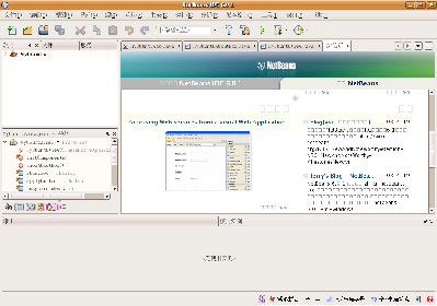 Screenshot-NetBeans IDE 6.0.1.png