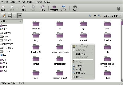 Screenshot-lib - 文件浏览器.jpg