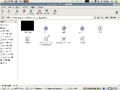 在这个类似这个目录下执行：sudo /bin/bash prayaya_usb_install