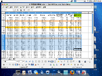 openoffice.org 3.0 beta2