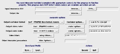 Screenshot-BiaMovE - Video encoder GUI.jpg