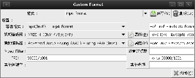 Screenshot-Custom Format.png