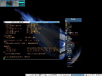 Screenshot_Fluxbox_060710.jpg