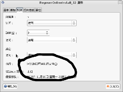 Screenshot-RegnumOnlineInstall_32 属性.png