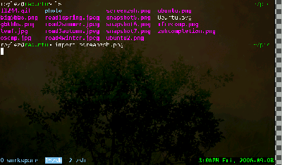 screenzsh.png