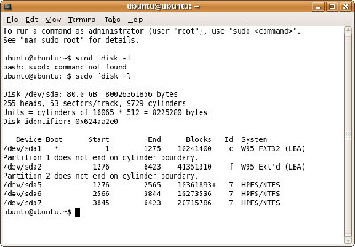 the response of sudo fdisk -l  in linux liveCD