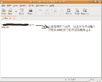 取出XP中获得的dns.txt文件