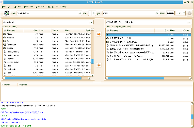 Screenshot-gFTP 3.png