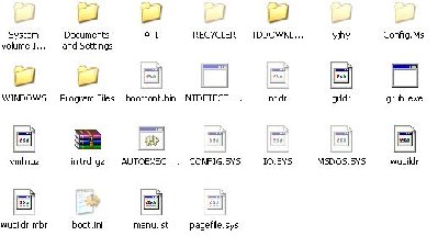 这些是我c盘的文件