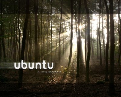 ubuntu_forrest_light.jpg