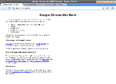 Screenshot-Google Chrome Dev Build Warning - Google Chrome.png