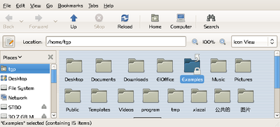 Screenshot-tgp - File Browser.png