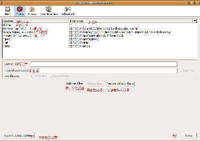 DownThemAll的偏好设置中的“Filter&amp;quot;标签页