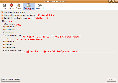 DownThemAll的偏好设置中的“User Interface&amp;quot;标签页