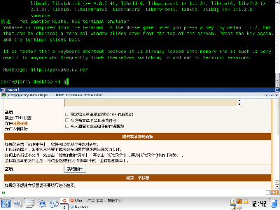 Yakuake运行截图