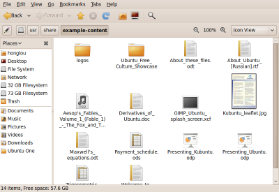 今天发现ubuntu9.10 $HOME文件夹里有个奇怪