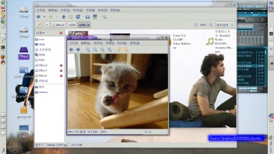 Evans Desktop20090910.Ubuntu.jpg