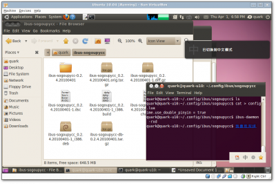 ubuntu 10.04 下的截图 - 直接输入