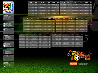 FifaWorldCup2010C.jpg