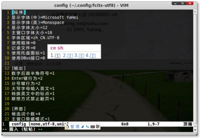Screenshot-config (~-.config-fcitx-utf8) - VIM.png