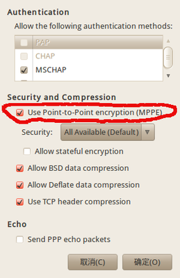 Screenshot-PPTP Advanced Options.png