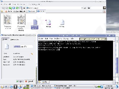 snapshot1.jpg