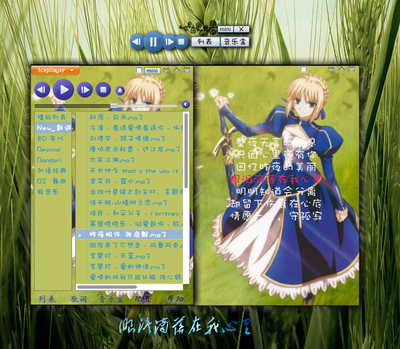 iceplayer_trial_version -2.png