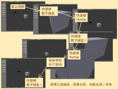 观察视图