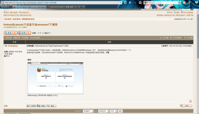 Screenshot-Ubuntu中文论坛 • 查看主题 - firefox4在ubuntu下还是不如windows7下漂亮 - Minefield.png