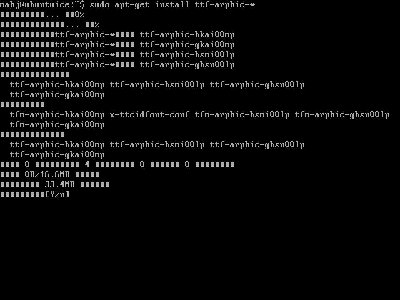 25installChineseFont.JPG