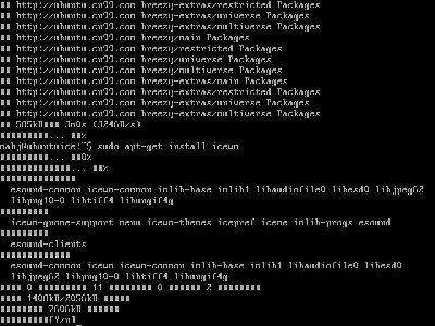 29installIcewm.JPG