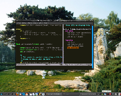 vim+ctags+taglist<br />基本可以实现source insight读代码的功能了。<br />还少一个好用的项目文件管理插件，哪位知道的麻烦给提个醒，谢谢！