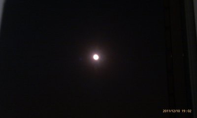 IMAG0492.jpg
