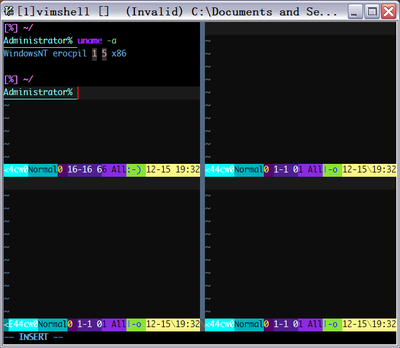 VimShell.PNG