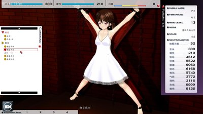 Screenshot-Default - Wine desktop-20.jpg