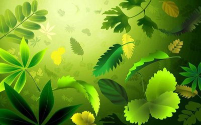 green.jpg